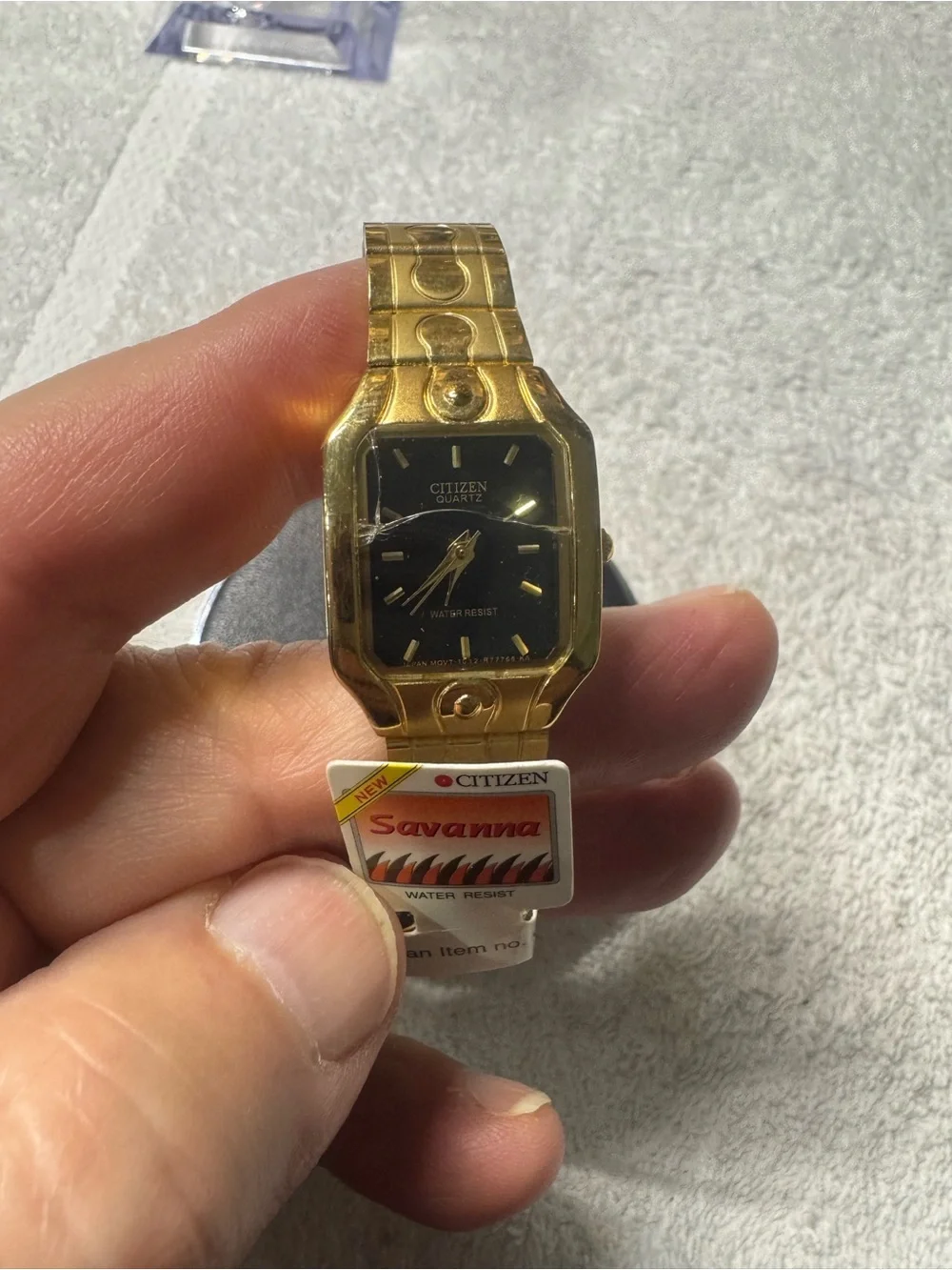 Citizen Gold-Tone Watch with Black Dial